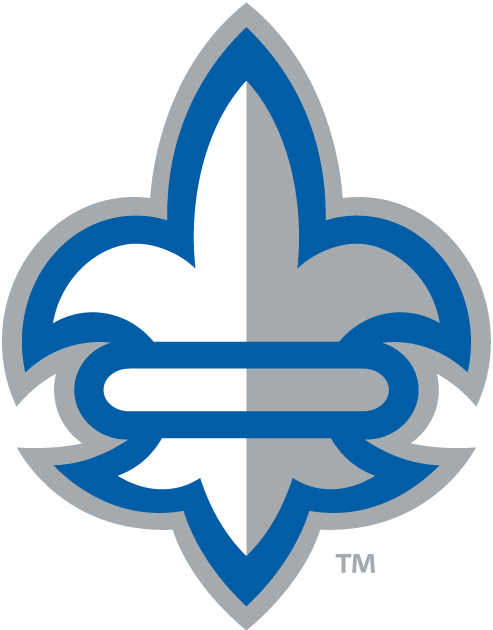 New Orleans Privateers 2013-Pres Alternate Logo v5 diy iron on heat transfer